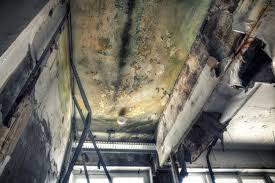 Best Emergency Mold Remediation  in Upland, CA